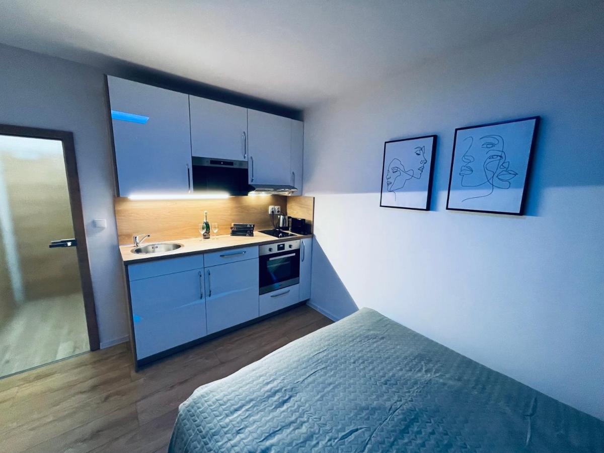 Ne-Doma Apartment Chomutov Exterior photo